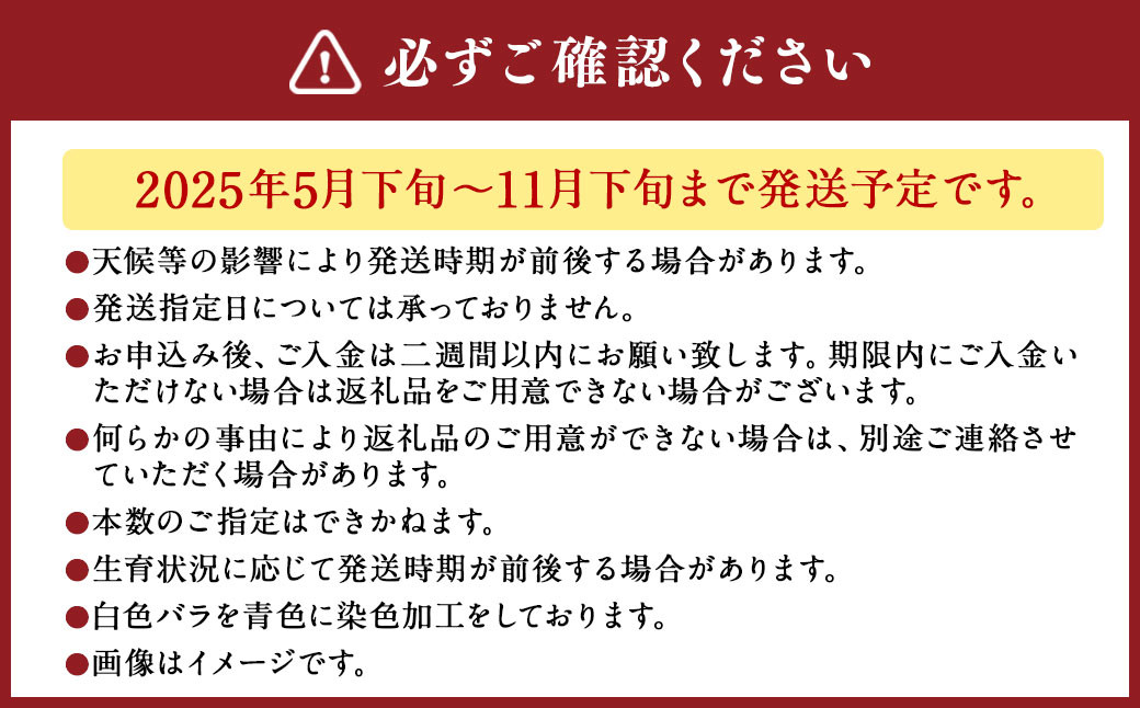 ブルーローズ（花束） 10本