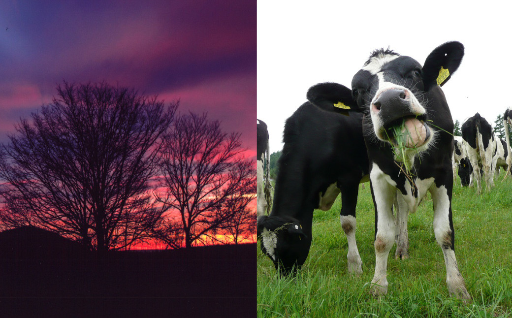中札内村への寄附（返礼品はありません）