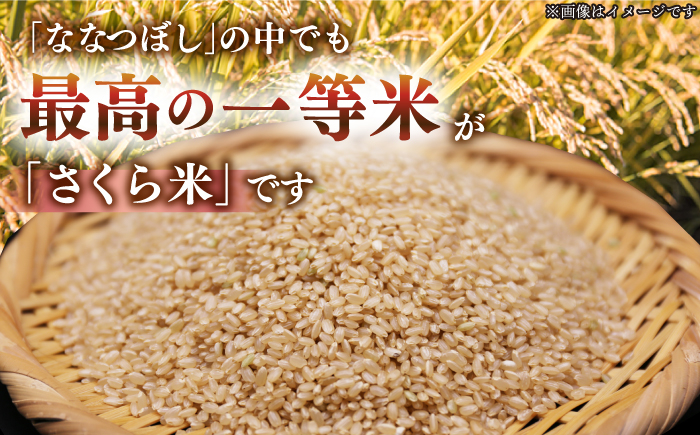 玄米 お米 ななつぼし ブランド米 特A ご飯 30kg 北海道