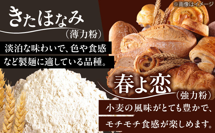 味噌 みそ 味噌汁 発酵 無添加 大豆 南蛮 なんばん 強力粉 薄力粉 北海道産