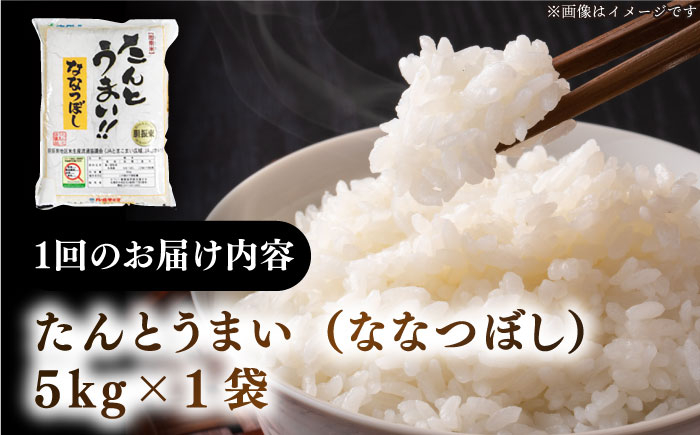 米 お米 白米 ななつぼし ブランド米 特A ご飯 5kg 北海道 定期便