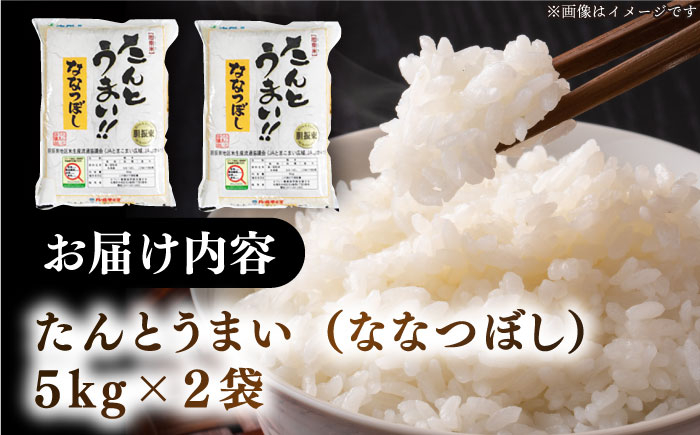 米 お米 白米 ななつぼし ブランド米 特A ご飯 10kg 北海道