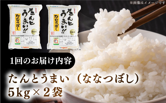 米 お米 白米 ななつぼし ブランド米 特A ご飯 10kg 北海道 定期便