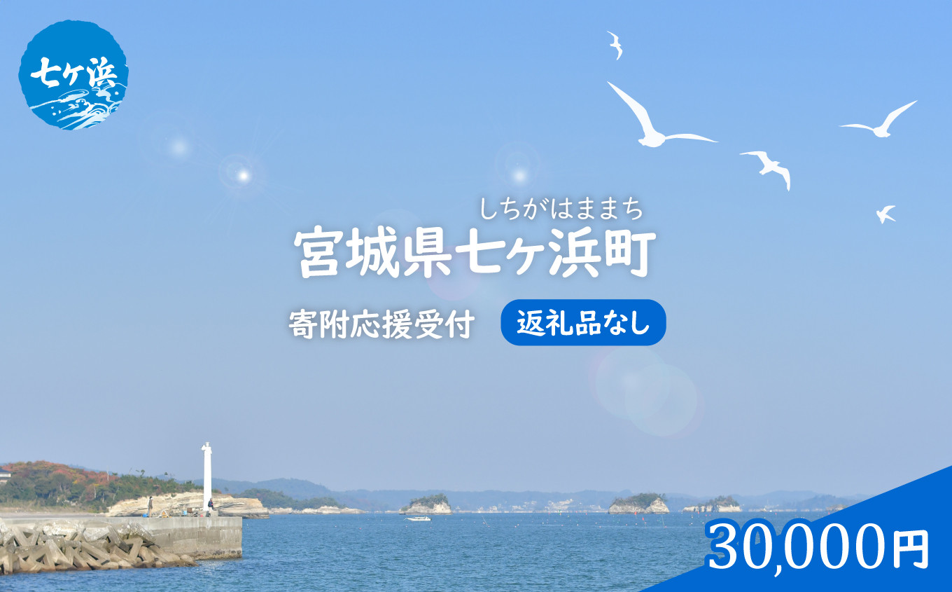 返礼品なし応援寄附【30,000円】| 7h-hn-30000