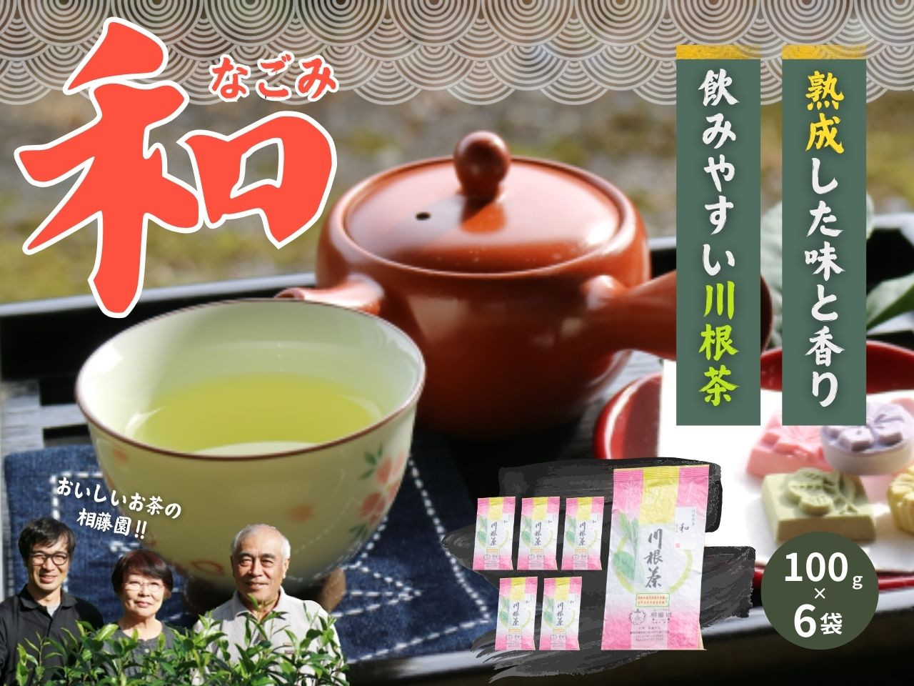お茶静岡緑茶/おいしい川根茶「和（なごみ）」セット、全体写真