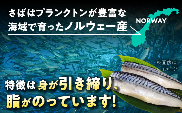【6回定期便】 炭火焼 トロさば 蒲焼 20枚入 /炭火焼古賀 [UDH023] 手焼き サバ 鯖 さば 蒲焼き タレ付き