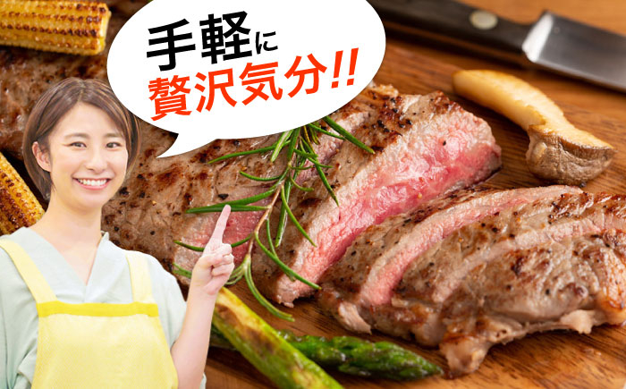 牛肉 おおいた豊後牛 おおいた 豊後牛 黒毛和牛 サーロイン サーロインステーキ ステーキ 国産