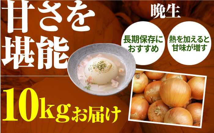 玉ねぎ農家より甘くておいしい玉ねぎ2種をお届け!