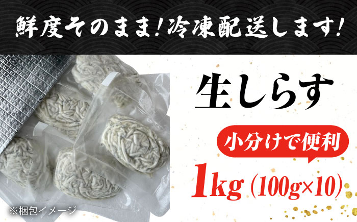 しらす 冷凍 シラス 小分け パック 釜揚げ 冷凍 魚介類 鮮魚 海鮮 海産物