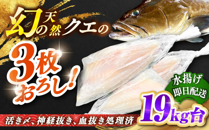 おすすめ オススメ こだわり ギフト 人気 特産品 贈り物 ギフト くえ クエ 