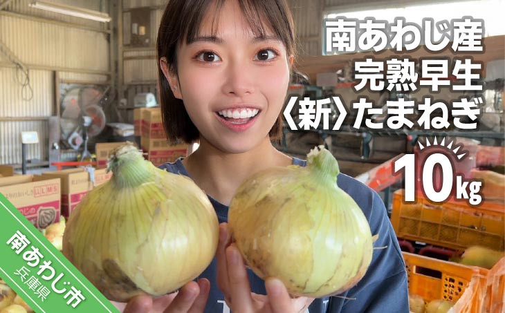 南あわじ産 完熟早生新たまねぎ　10kg