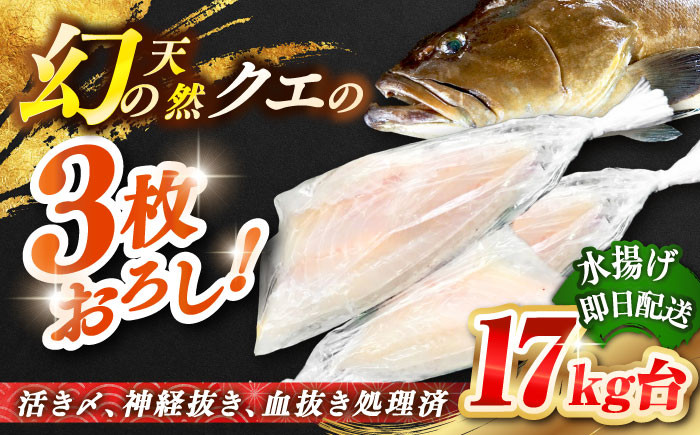 おすすめ オススメ こだわり ギフト 人気 特産品 贈り物 ギフト くえ クエ 