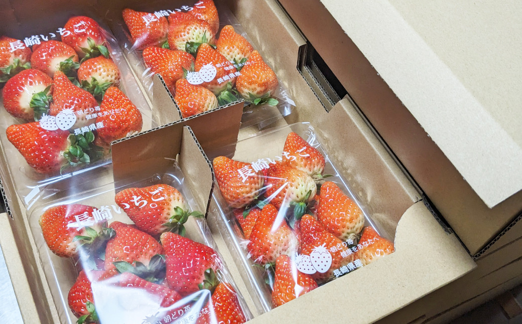 クリスマス用・数量限定 長崎県産いちごゆめの香 計約1kg
