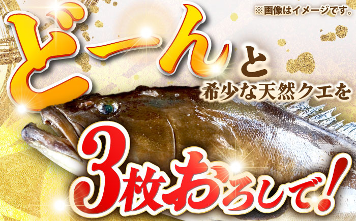 おすすめ オススメ こだわり ギフト 人気 特産品 贈り物 ギフト くえ クエ 