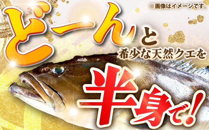 おすすめ オススメ こだわり ギフト 人気 特産品 贈り物 ギフト くえ クエ 