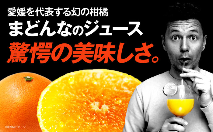 まどんな マドンナ みかん ミカン 蜜柑 100％ みかんジュース ミカンジュース 蜜柑ジュース ジュース じゅーす 100％