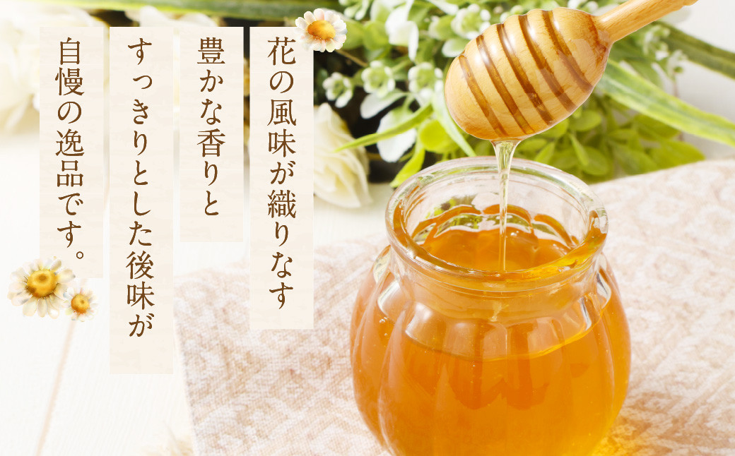 国産 無添加 MINOKAMO HONEY はちみつ 2本（300g×2） 合計600g