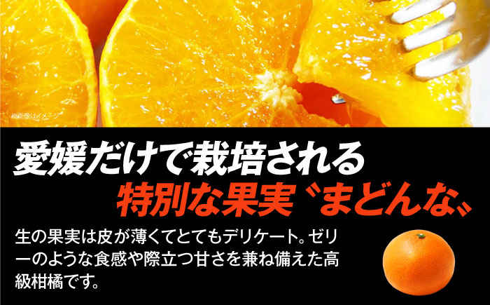 果物 みかんジュース デザート 果汁100％ ストレートジュース オレンジジュース [AGCT005]