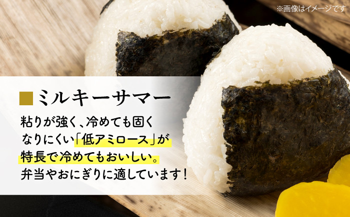 お米 ご飯 白米 おにぎり 米 コシヒカリ こしひかり 精米 おこめ おいしい