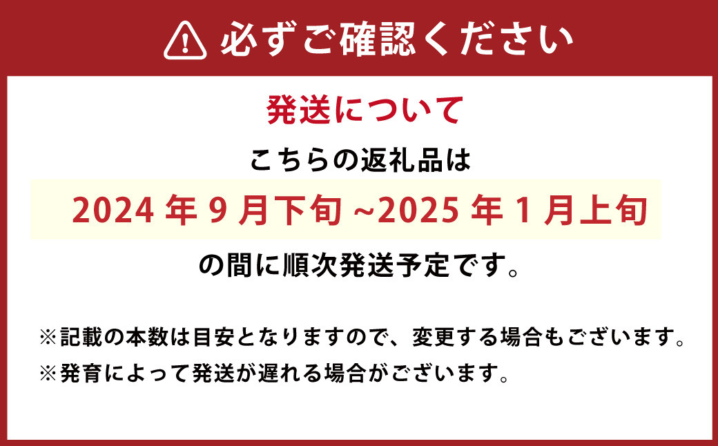 九重町産 白ネギ 約3kg（18本～30本） ネギ 高原ネギ 野菜