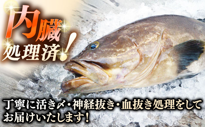 おすすめ オススメ こだわり ギフト 人気 特産品 贈り物 ギフト くえ クエ 