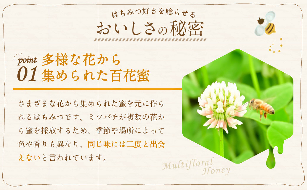 国産 無添加 MINOKAMO HONEY はちみつ（500g）