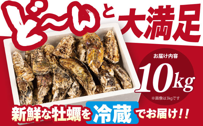 カキ 牡蠣 10kg