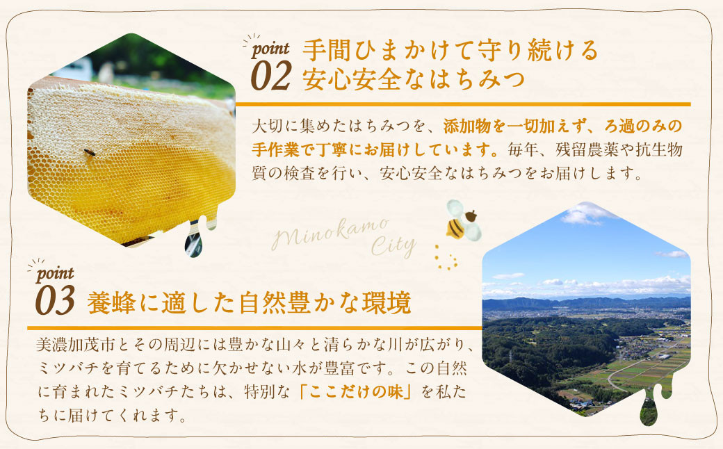【12ヶ月定期便】国産 無添加 MINOKAMO HONEY はちみつ（200g）×12回