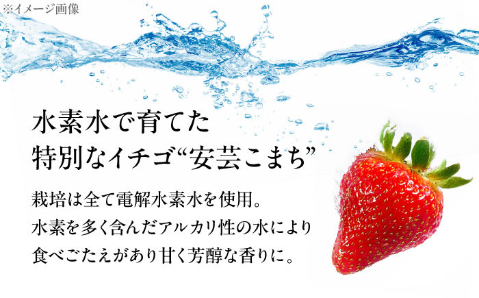 ふるさと納税 いちご 低農薬 イチゴ 水素水 苺 フルーツ ベリー 果物 ギフト