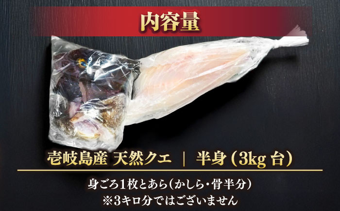 おすすめ オススメ こだわり ギフト 人気 特産品 贈り物 ギフト くえ クエ 