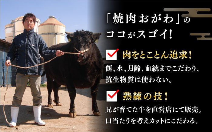 長崎和牛 焼肉 セット 4種