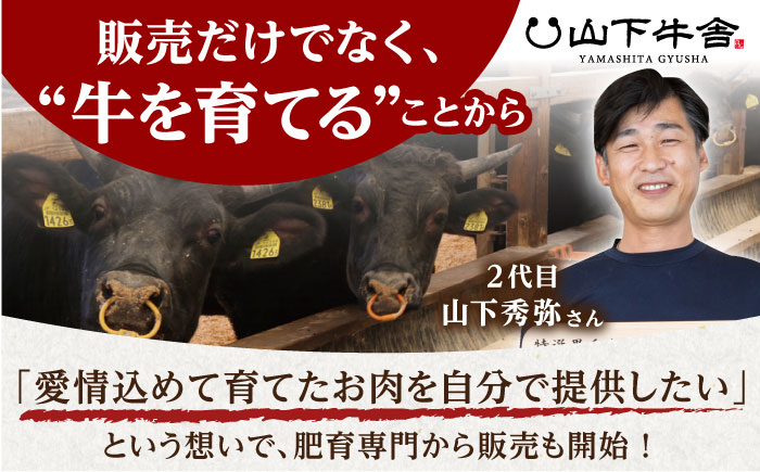 【コラーゲンたっぷり！】佐賀県産黒毛和牛 テール 1頭分【山下牛舎】 黒毛和牛 牛肉 スープ [HAD160]