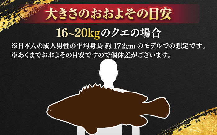 おすすめ オススメ こだわり ギフト 人気 特産品 贈り物 ギフト くえ クエ 