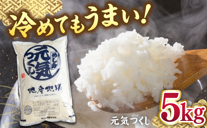 コメ 米 お米 白米 精米 福岡 九州