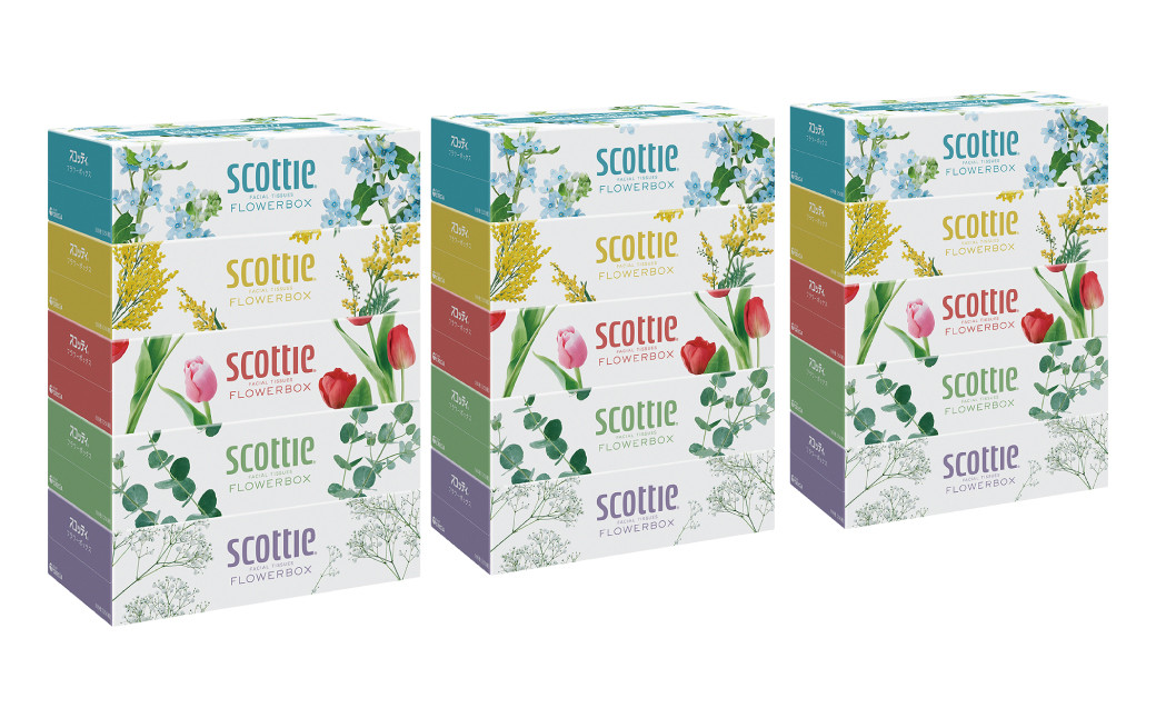 【スコッティ】ティシュー フラワーボックス 250組 5箱パック×3セット 合計15箱