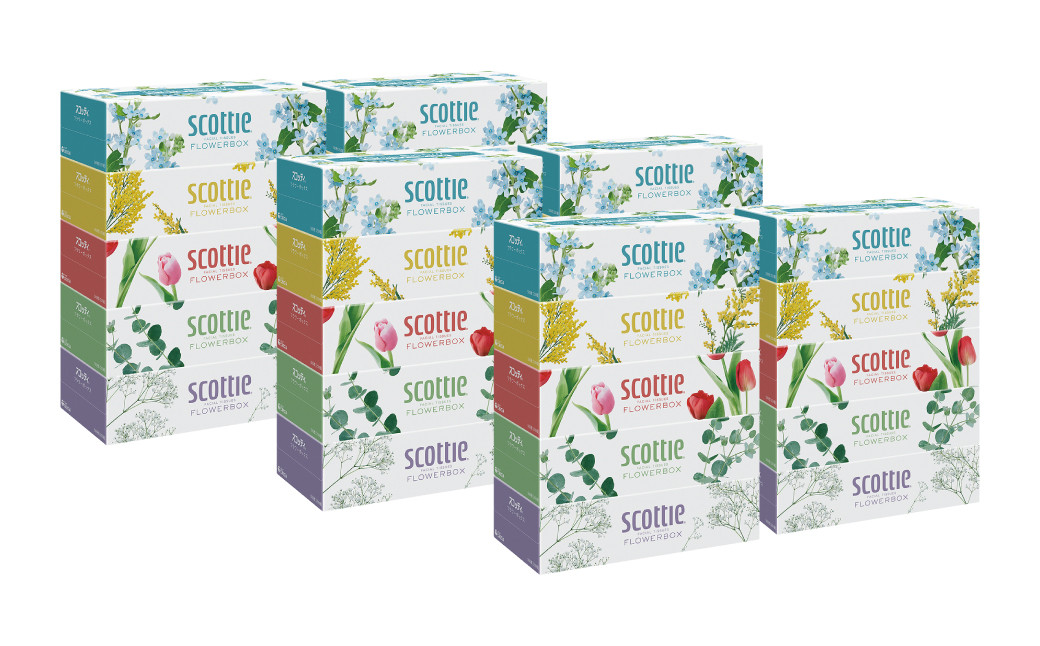 【スコッティ】ティシュー フラワーボックス 250組 5箱パック×6セット 合計30箱