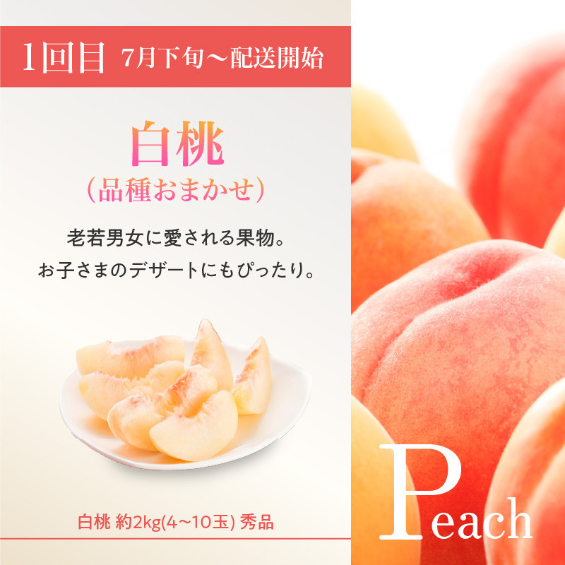 ≪先行受付≫ 山形豊作フルーツ人気Ｂ【定期便全3回】