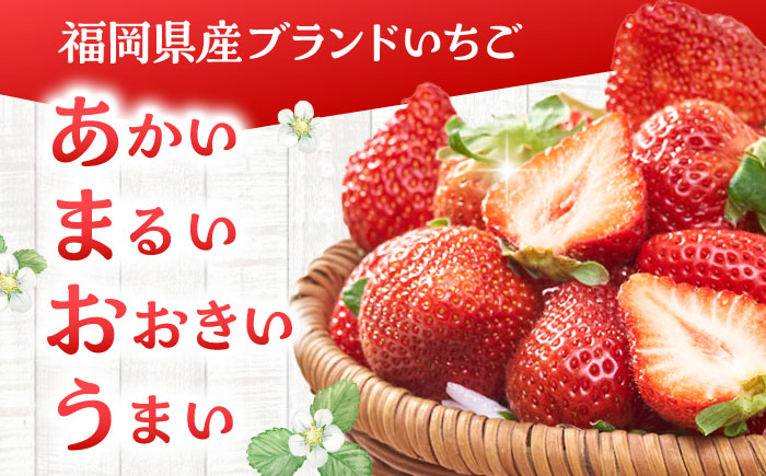 あまおう 博多 福岡 イチゴ 苺　ストロベリー