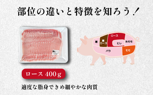 Ａ４等級以上の宮崎牛！上質な赤身をお楽しみください。