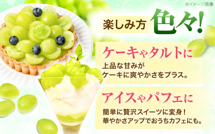 朝採れ直送!皮ごとパリッと食べられるシャインマスカット