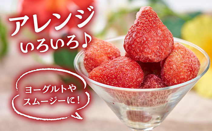 冷凍あまおう あまおう 小分け イチゴ 苺 冷凍 ストロベリー