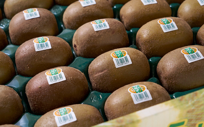 キウイ きうい フルーツ 果物 キウイフルーツ