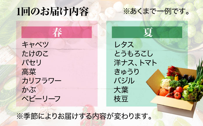 【シェフの目線】栽培期間中農薬不使用!大満足 旬のお野菜セット