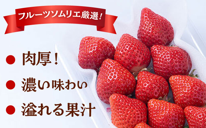 福岡 あまおう 明太子 めんたいこ セット