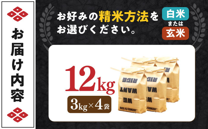 コシヒカリ 3kg×4 滋賀県西浅井町産 まるこ米米 お米 白米  12kg