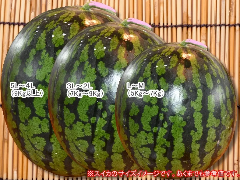スイカの名産地の信州波田産。南原ファーム拘りの厳選スイカ。