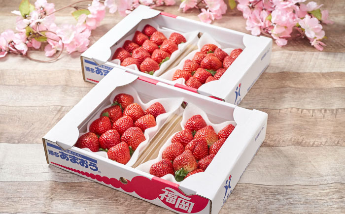 あまおう 福岡 博多 苺 ストロベリー