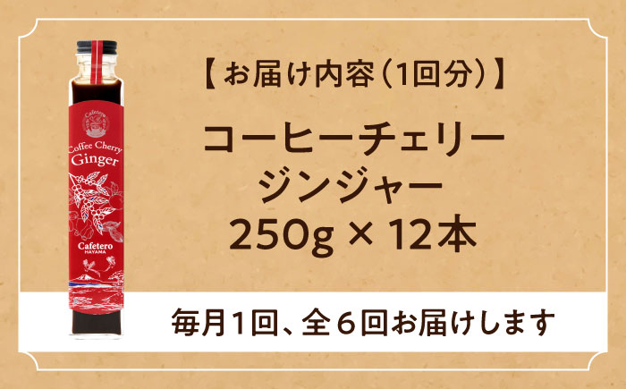 コーラ エナジードリンク 酸味 コーヒー  神奈川県 葉山町 クラフトコーラ 天然 ドリンク 炭酸 定期便