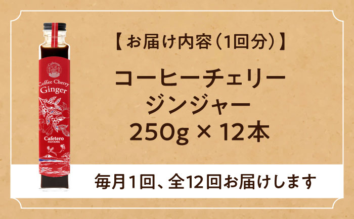 コーラ エナジードリンク 酸味 コーヒー  神奈川県 葉山町 クラフトコーラ 天然 ドリンク 炭酸 定期便