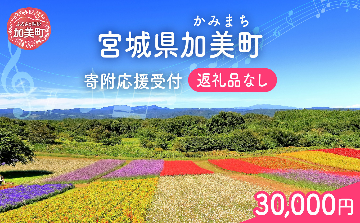 返礼品なし 宮城県 加美町 ふるさと応援寄附金 30,000円 |  寄附 応援 | kznot-30000